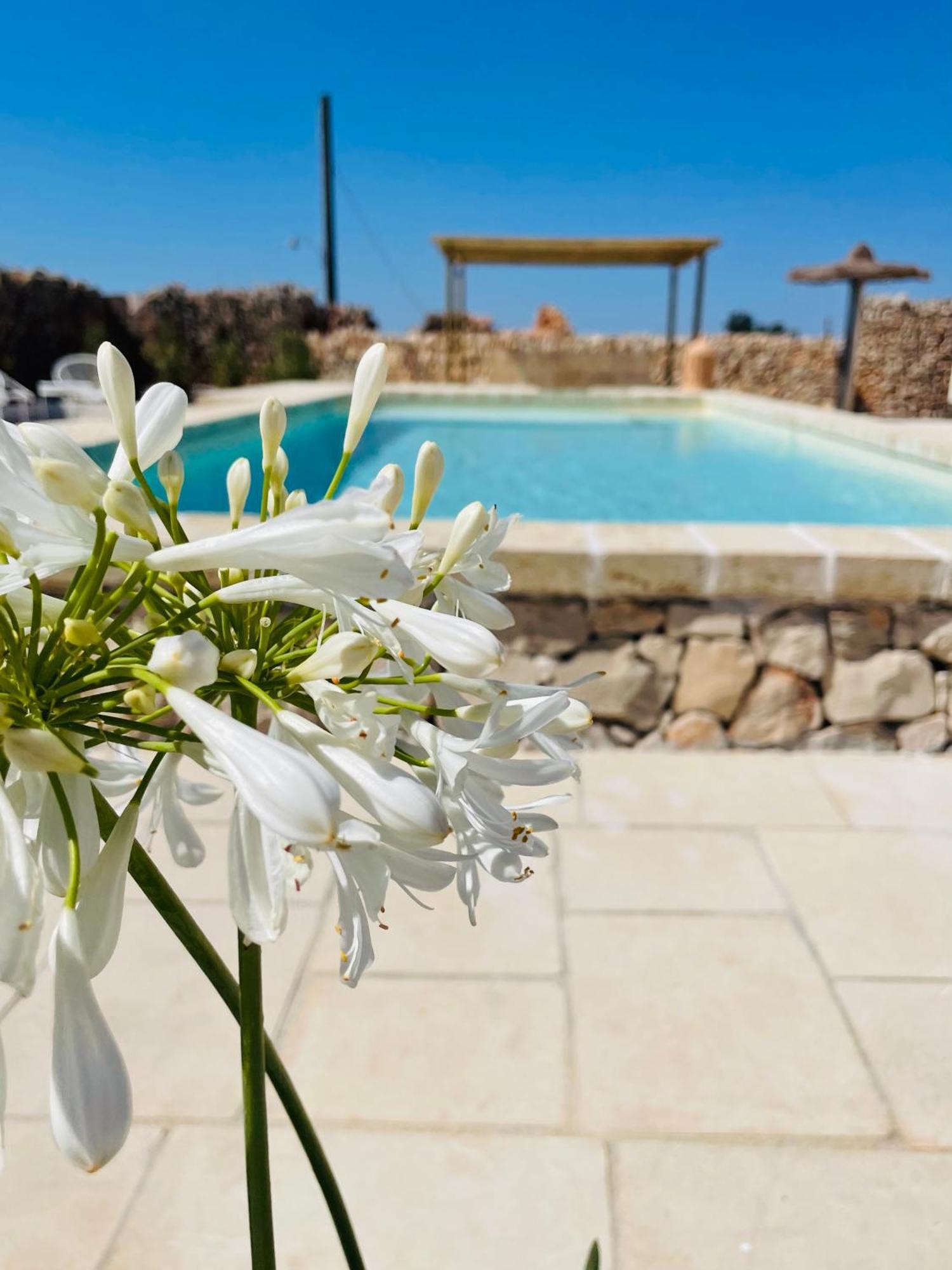 Masseria Voluzzi Copertino Esterno foto
