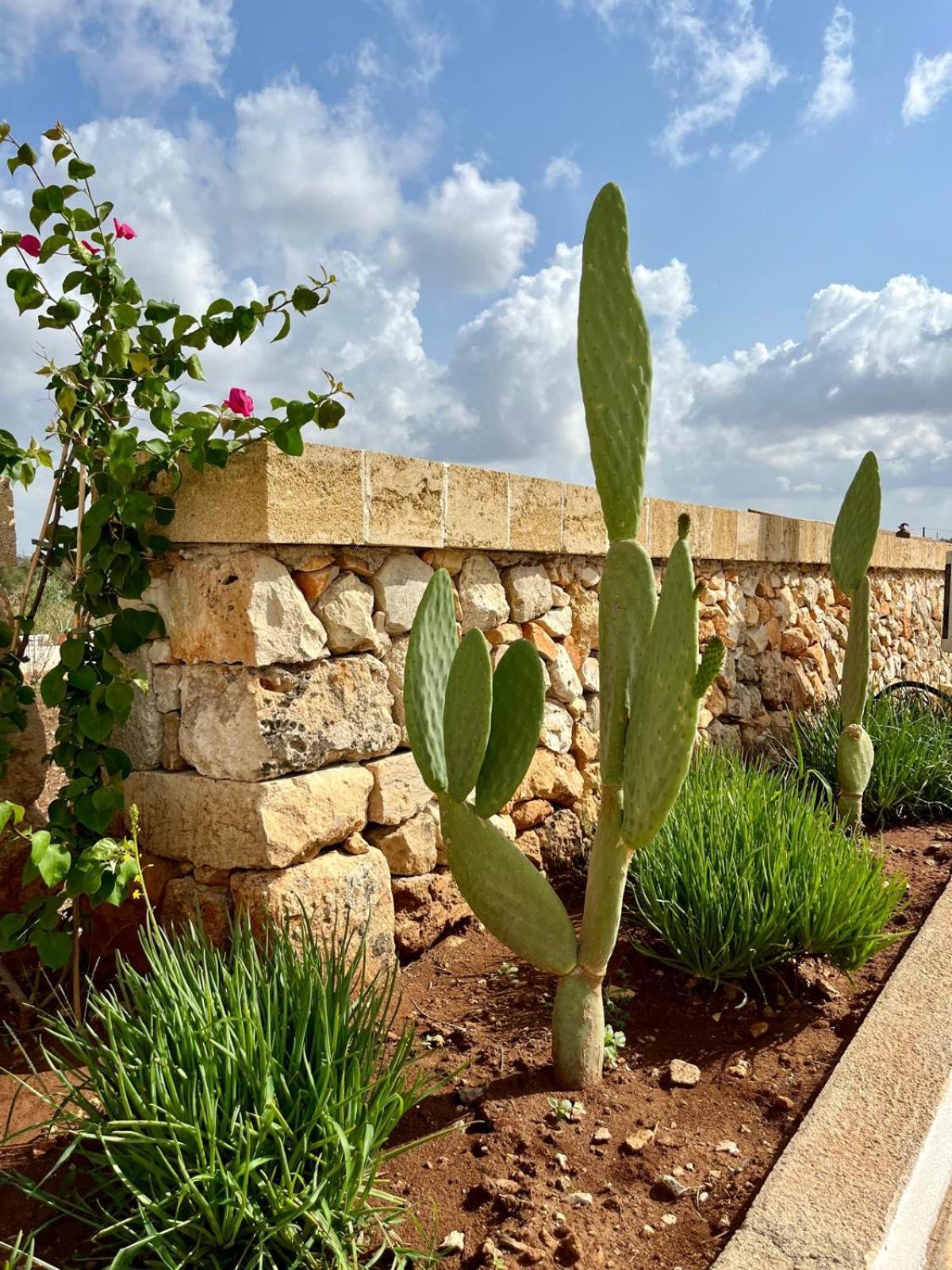 Masseria Voluzzi Copertino Esterno foto